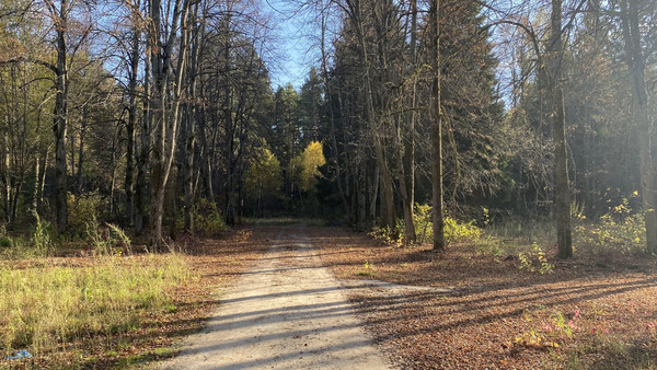 Продам землю для коммерческого использования 5,5 соток, Садоводство, Антоново д