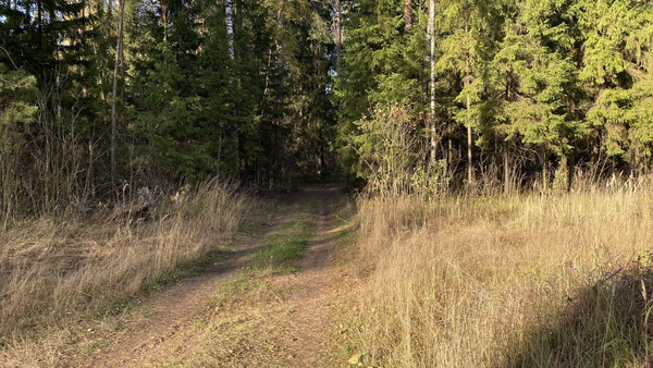 Продам землю для коммерческого использования 5,5 соток, Садоводство, Антоново д