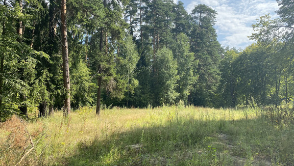 Продам землю для коммерческого использования 5,5 соток, Садоводство, Антоново д