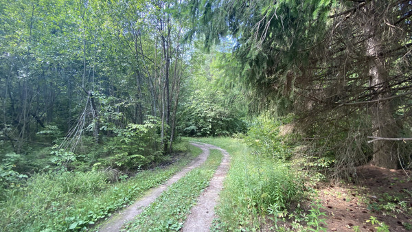 Продам землю для коммерческого использования 5,5 соток, Садоводство, Антоново д