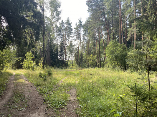 Продам землю для коммерческого использования 5,5 соток, Садоводство, Антоново д