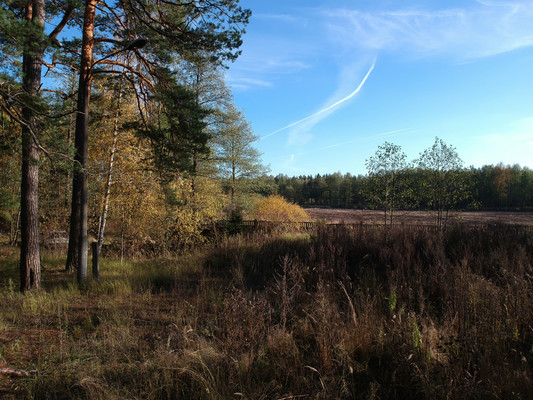 Продам землю для коммерческого использования 5,5 соток, Садоводство, Антоново д