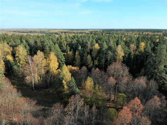 Продам землю для коммерческого использования 5,5 соток, Садоводство, Антоново д