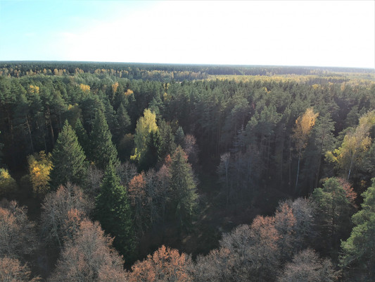 Продам землю для коммерческого использования 5,5 соток, Садоводство, Антоново д