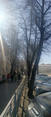 Сдам двухкомнатную (2-комн.) квартиру, Кольцовская ул, 27, Воронеж г