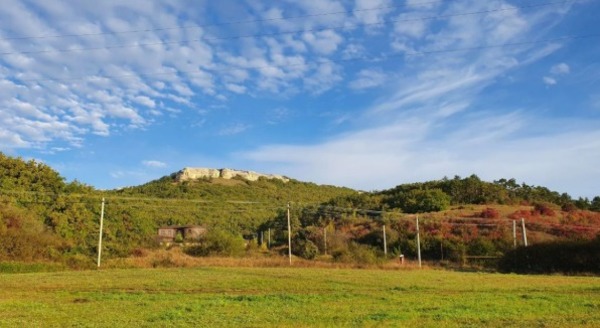 Продам дом, Полевая ул, 448, Лесное тер. ТСН, 0 км от города