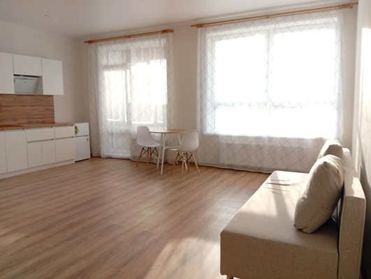 Продам однокомнатную (1-комн.) квартиру, Полковника Романова ул, 11, Нагорное п