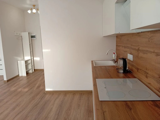 Продам однокомнатную (1-комн.) квартиру, Полковника Романова ул, 11, Нагорное п