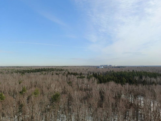 Продам однокомнатную (1-комн.) квартиру, Полковника Романова ул, 11, Нагорное п