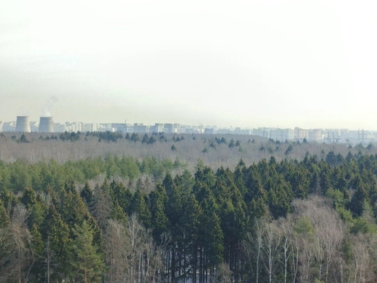 Продам однокомнатную (1-комн.) квартиру, Полковника Романова ул, 11, Нагорное п