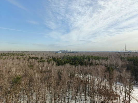 Продам однокомнатную (1-комн.) квартиру, Полковника Романова ул, 11, Нагорное п