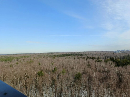 Продам однокомнатную (1-комн.) квартиру, Полковника Романова ул, 11, Нагорное п