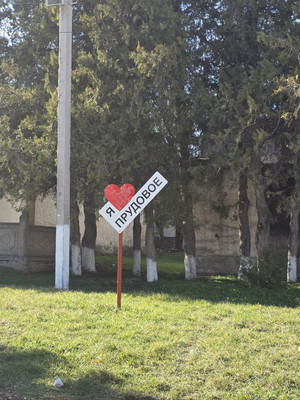 Продам дом, Солнечная ул, 5, Прудовое с, 0 км от города