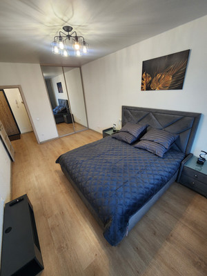 Сдам однокомнатную (1-комн.) квартиру, Ипподромный пер, 1к1, Санкт-Петербург г