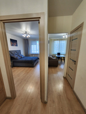 Сдам однокомнатную (1-комн.) квартиру, Ипподромный пер, 1к1, Санкт-Петербург г