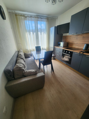 Сдам однокомнатную (1-комн.) квартиру, Ипподромный пер, 1к1, Санкт-Петербург г