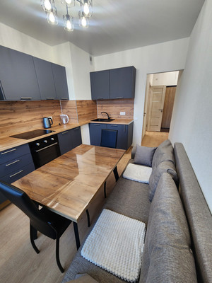 Сдам однокомнатную (1-комн.) квартиру, Ипподромный пер, 1к1, Санкт-Петербург г