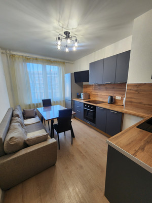 Сдам однокомнатную (1-комн.) квартиру, Ипподромный пер, 1к1, Санкт-Петербург г