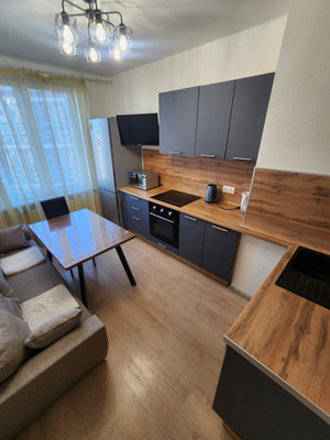 Сдам однокомнатную (1-комн.) квартиру, Ипподромный пер, 1к1, Санкт-Петербург г