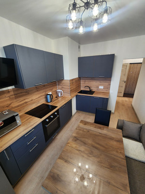 Сдам однокомнатную (1-комн.) квартиру, Ипподромный пер, 1к1, Санкт-Петербург г