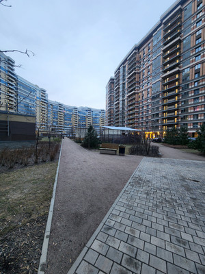 Сдам однокомнатную (1-комн.) квартиру, Ипподромный пер, 1к1, Санкт-Петербург г