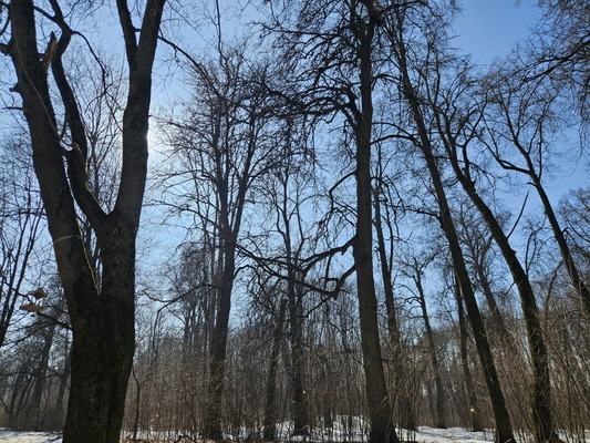 Сдам однокомнатную (1-комн.) квартиру, Школьная (Салтыковка мкр.) ул, 7к5, Балашиха г