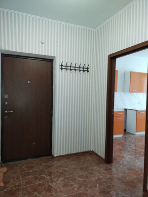 Продам двухкомнатную (2-комн.) квартиру, Дружбы (Зенино ЖК Самолёт мкр.) ул, 5, Люберцы г