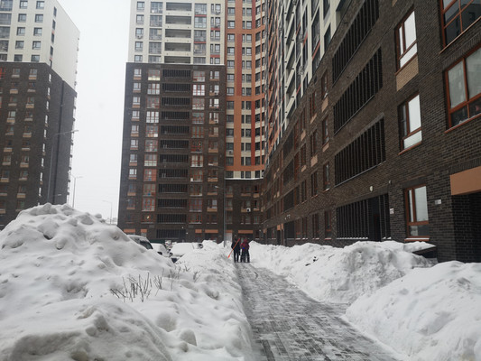 Сдам однокомнатную (1-комн.) квартиру, Устье С и Ко снт, 5, Дубна г