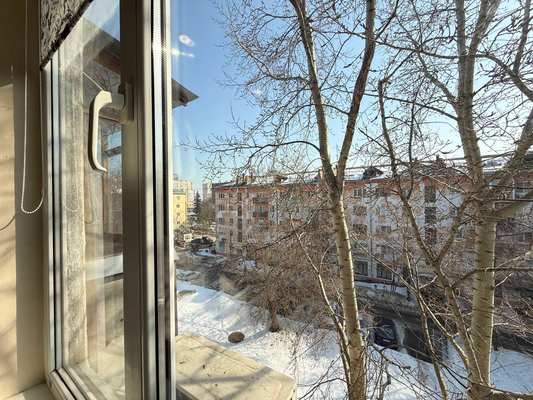 Продам однокомнатную (1-комн.) квартиру, Павла Мочалова ул, 4, Нижний Новгород г