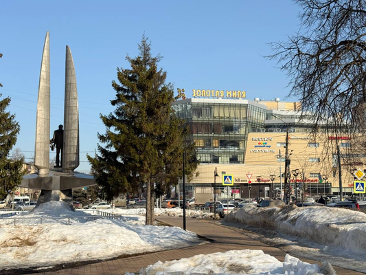 Продам однокомнатную (1-комн.) квартиру, Павла Мочалова ул, 4, Нижний Новгород г