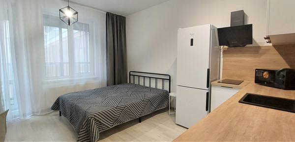 Сдам однокомнатную (1-комн.) квартиру, Фарфоровская ул, 7к1, Санкт-Петербург г