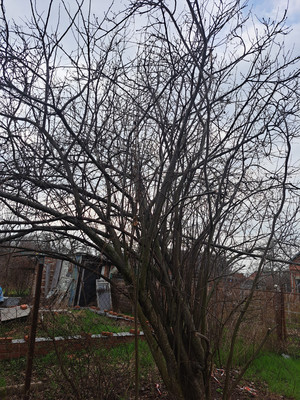 Продам участок 6 соток, Фермерское хоз., Малиновая (Весна снт) ул, 168, Черников х, 0 км от города