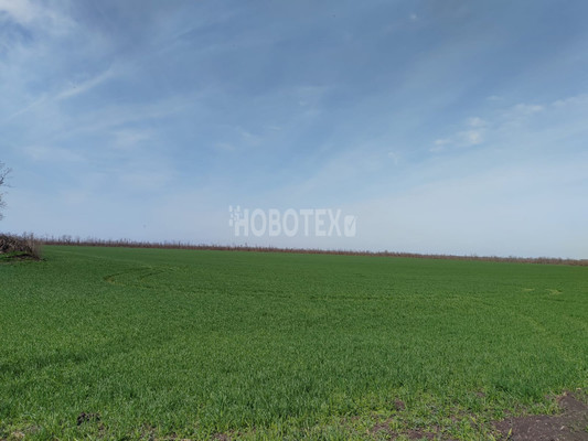 Продам дом, Колхозная ул, 37, Скобелевская ст-ца, 0 км от города