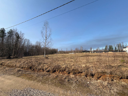 Продам участок 14 соток, Фермерское хоз., Сойкино д, 0 км от города