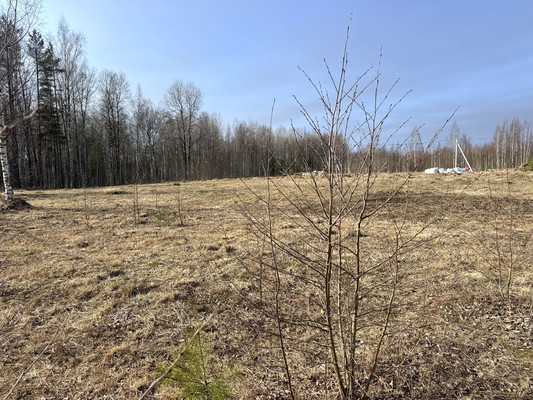 Продам участок 14 соток, Фермерское хоз., Сойкино д, 0 км от города