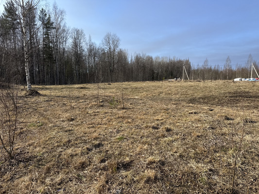 Продам участок 14 соток, Фермерское хоз., Сойкино д, 0 км от города