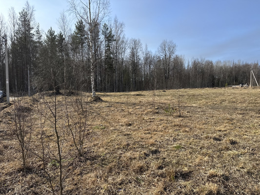 Продам участок 14 соток, Фермерское хоз., Сойкино д, 0 км от города