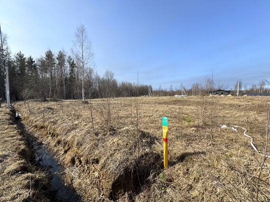 Продам участок 14 соток, Фермерское хоз., Сойкино д, 0 км от города