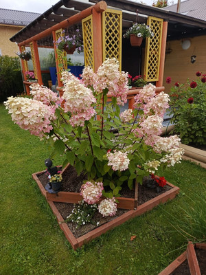 Продам дачу, Дырносский СНТ Ранчо тер, Сыктывкар г, 0 км от города