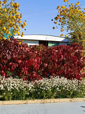 Продам дачу, Дырносский СНТ Ранчо тер, Сыктывкар г, 0 км от города