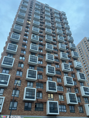 Продам однокомнатную (1-комн.) квартиру, Дальневосточный пр-кт, 33к1, Санкт-Петербург г