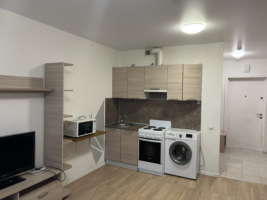 Продам однокомнатную (1-комн.) квартиру, Дальневосточный пр-кт, 33к1, Санкт-Петербург г