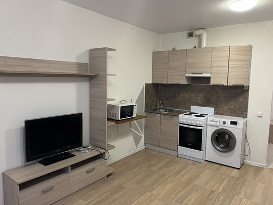 Продам однокомнатную (1-комн.) квартиру, Дальневосточный пр-кт, 33к1, Санкт-Петербург г