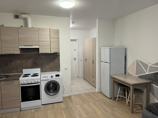 Продам однокомнатную (1-комн.) квартиру, Дальневосточный пр-кт, 33к1, Санкт-Петербург г