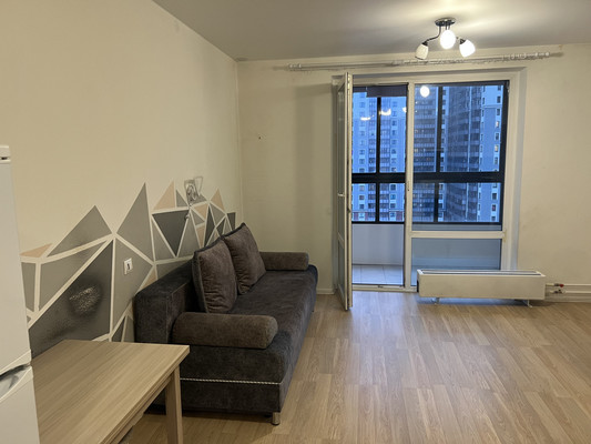 Продам однокомнатную (1-комн.) квартиру, Дальневосточный пр-кт, 33к1, Санкт-Петербург г