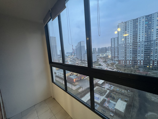 Продам однокомнатную (1-комн.) квартиру, Дальневосточный пр-кт, 33к1, Санкт-Петербург г