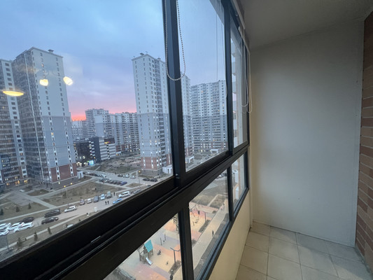 Продам однокомнатную (1-комн.) квартиру, Дальневосточный пр-кт, 33к1, Санкт-Петербург г