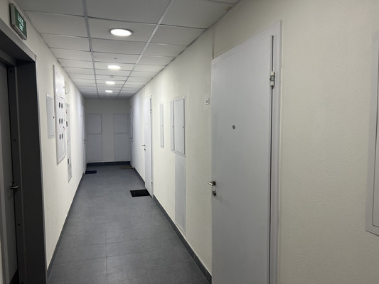 Продам однокомнатную (1-комн.) квартиру, Дальневосточный пр-кт, 33к1, Санкт-Петербург г