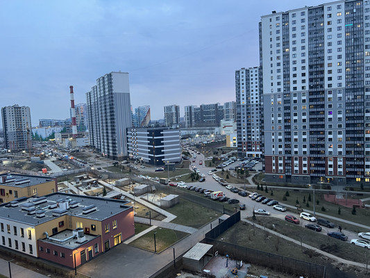 Продам однокомнатную (1-комн.) квартиру, Дальневосточный пр-кт, 33к1, Санкт-Петербург г