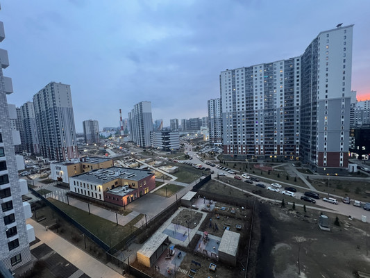 Продам однокомнатную (1-комн.) квартиру, Дальневосточный пр-кт, 33к1, Санкт-Петербург г